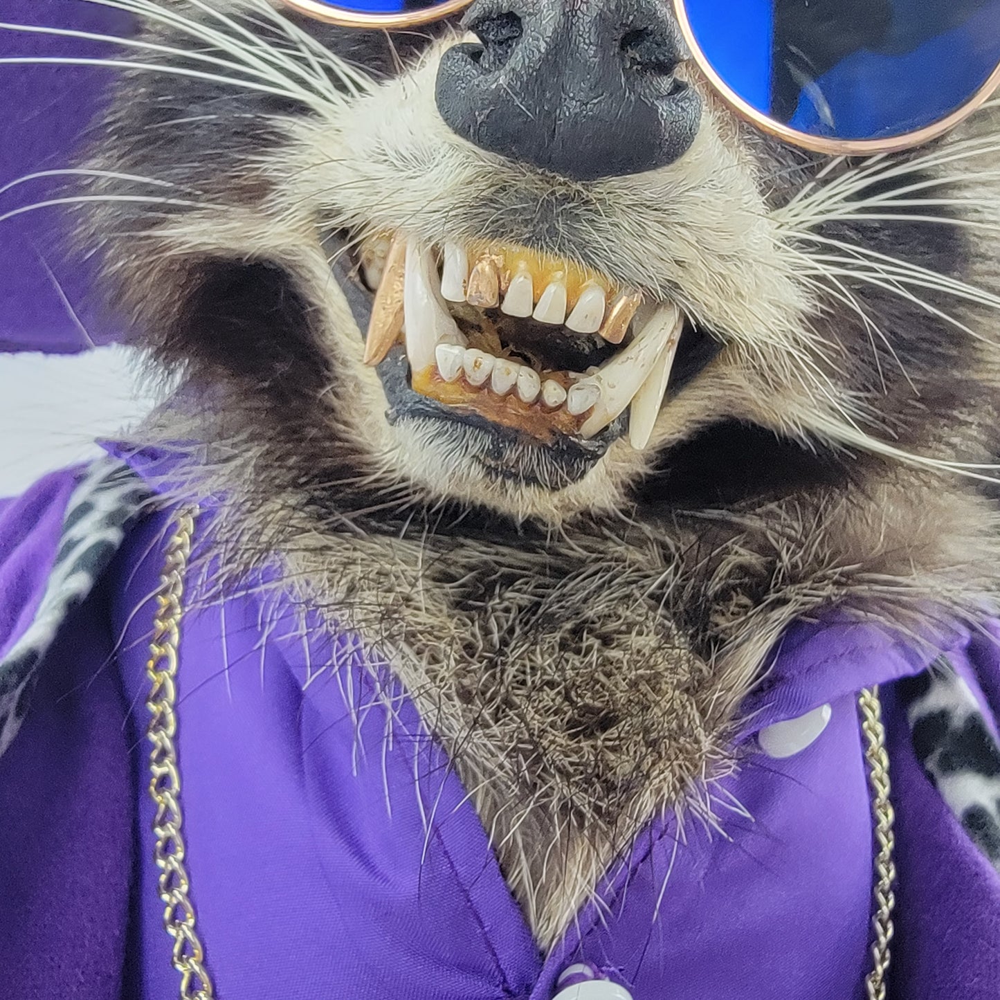 Purple Pimp Commission