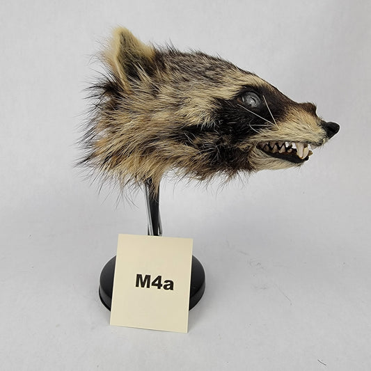 M4a Anthropomorphic Raccoon Doll Deposit