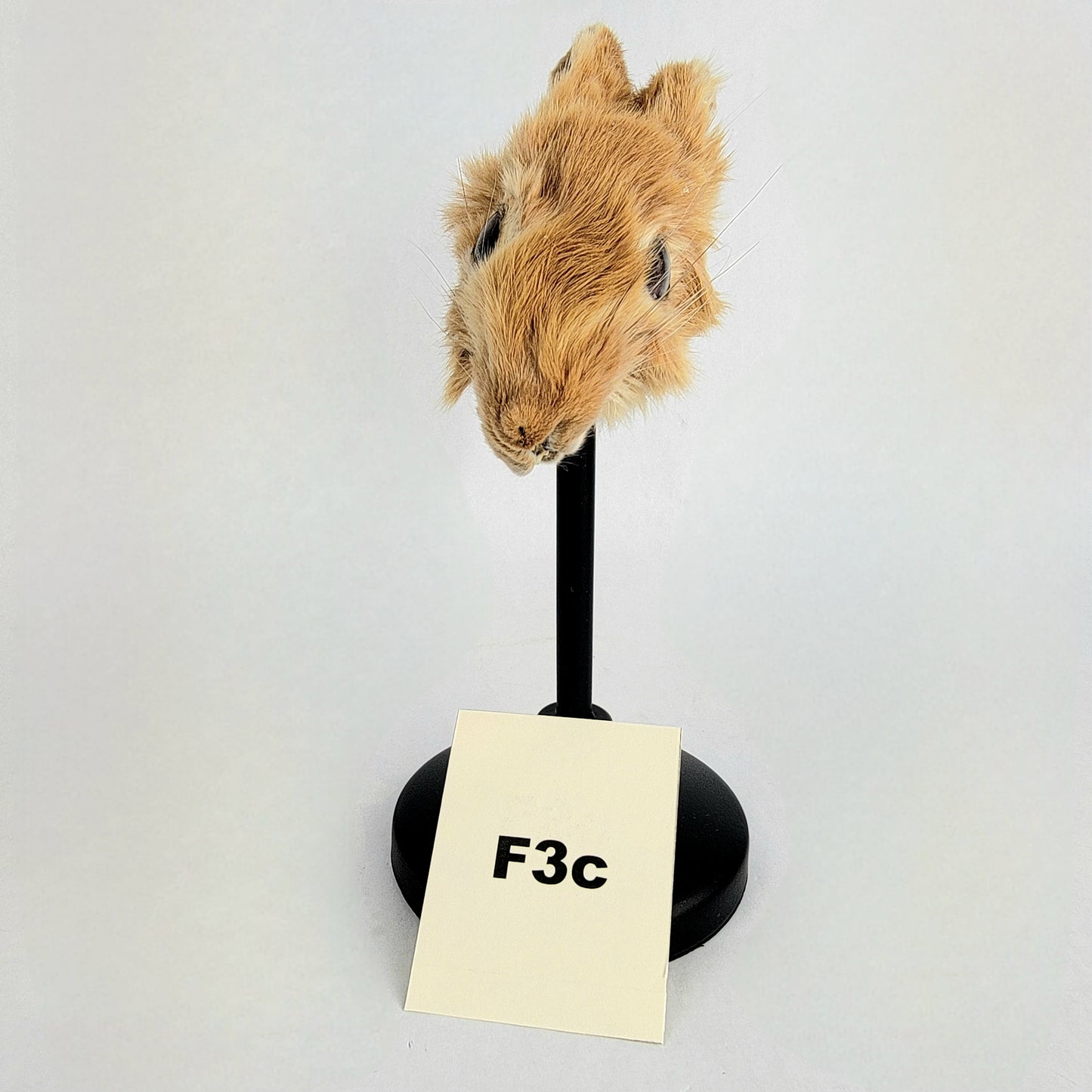 F3c Custom Anthropomorphic Rabbit Doll Deposit