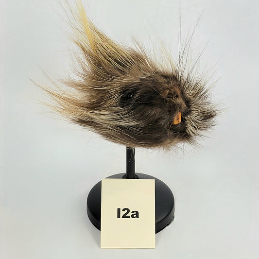 I2a Anthropomorphic Porcupine Doll Deposit