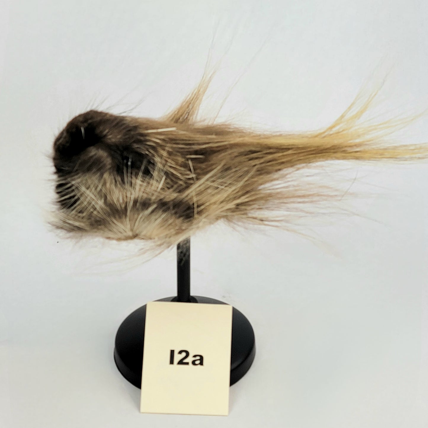 I2a Anthropomorphic Porcupine Doll Deposit