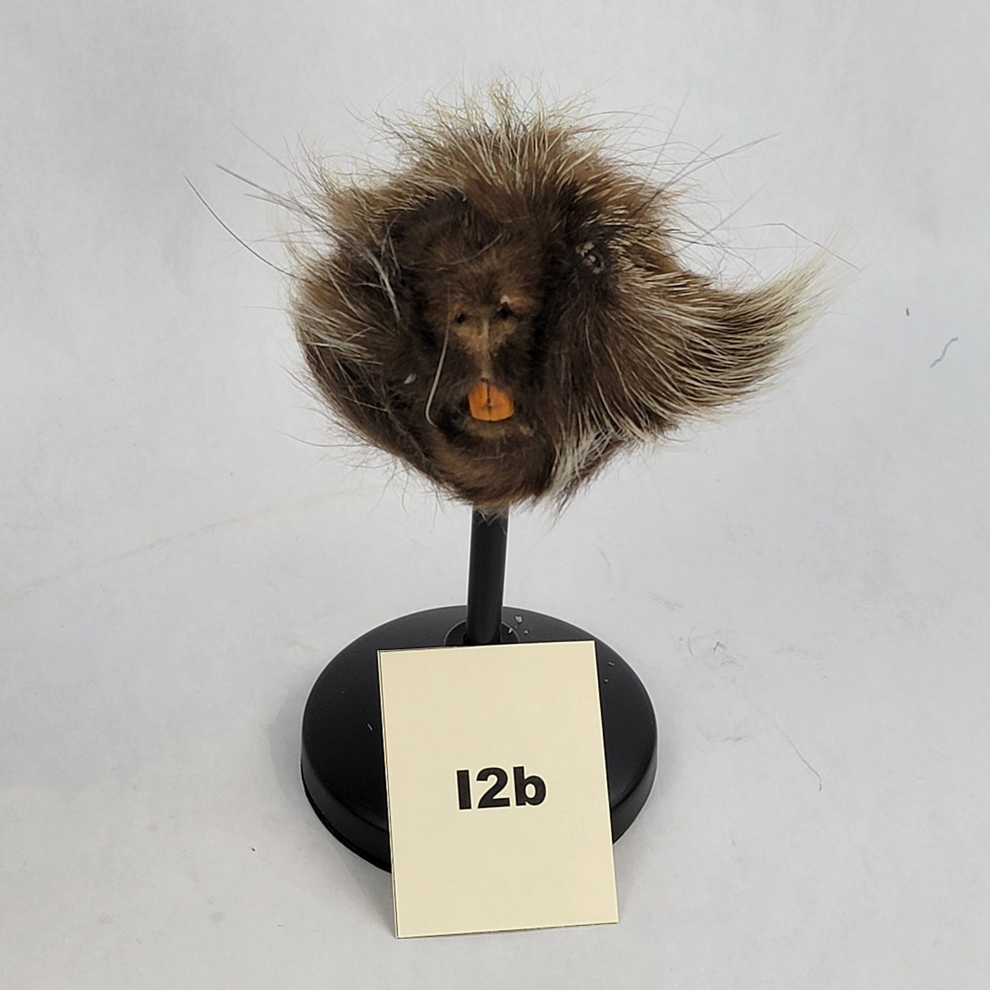 I2b Anthropomorphic Porcupine Doll Deposit
