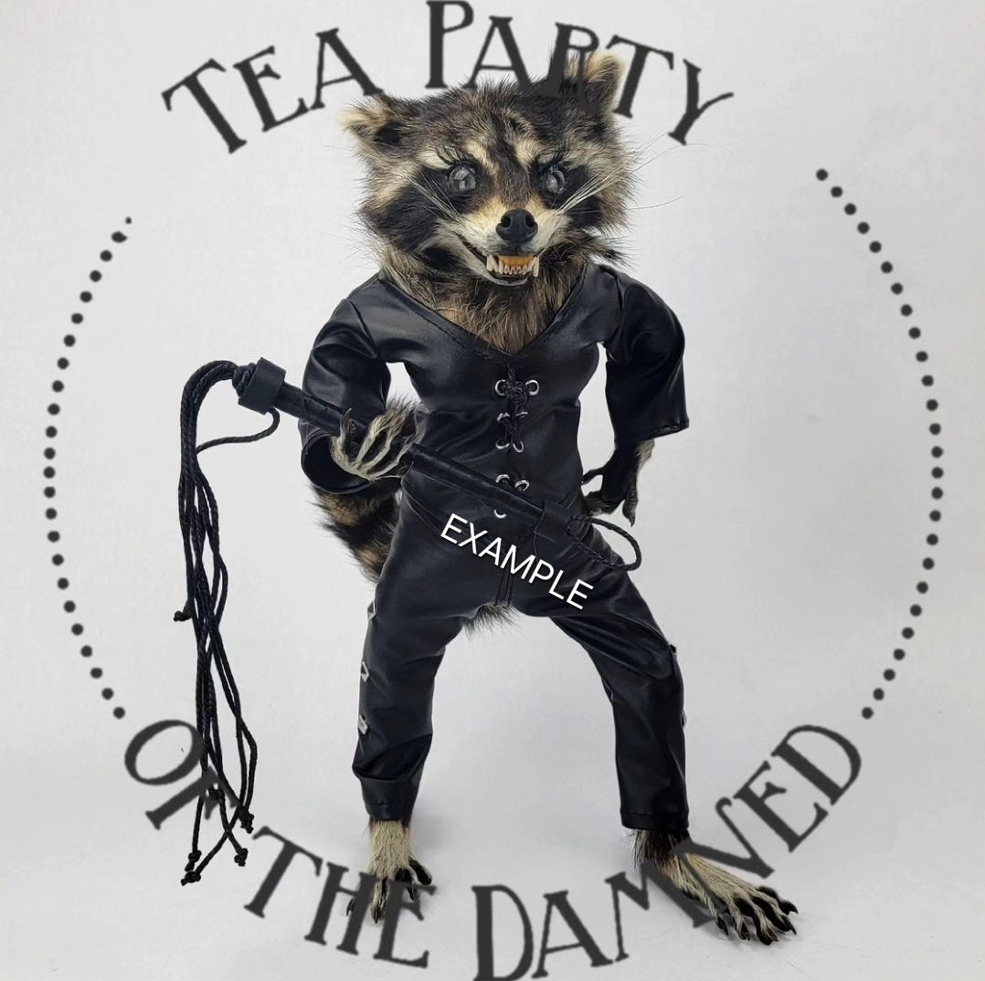 Dream Raccoon