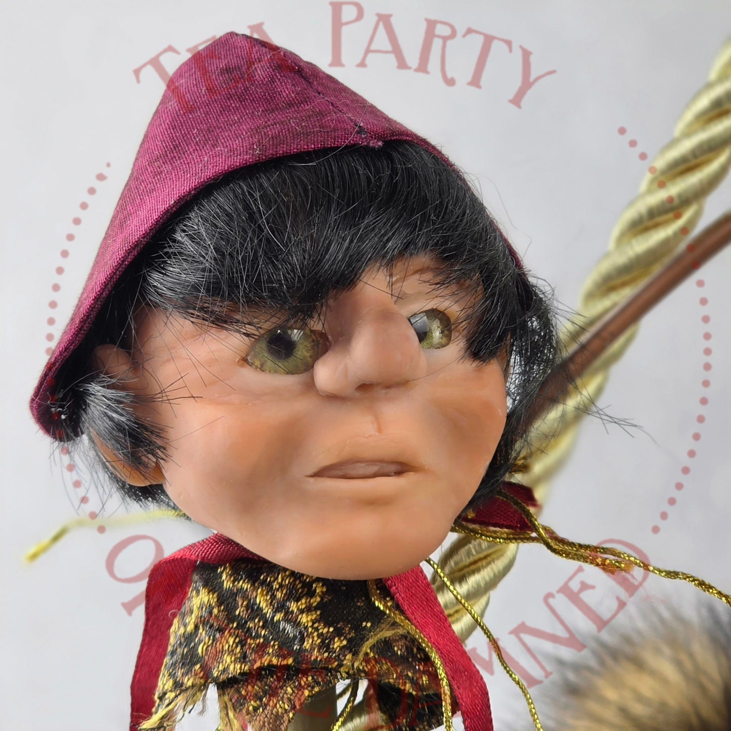 Upoon A Raccoon In Pantaloons