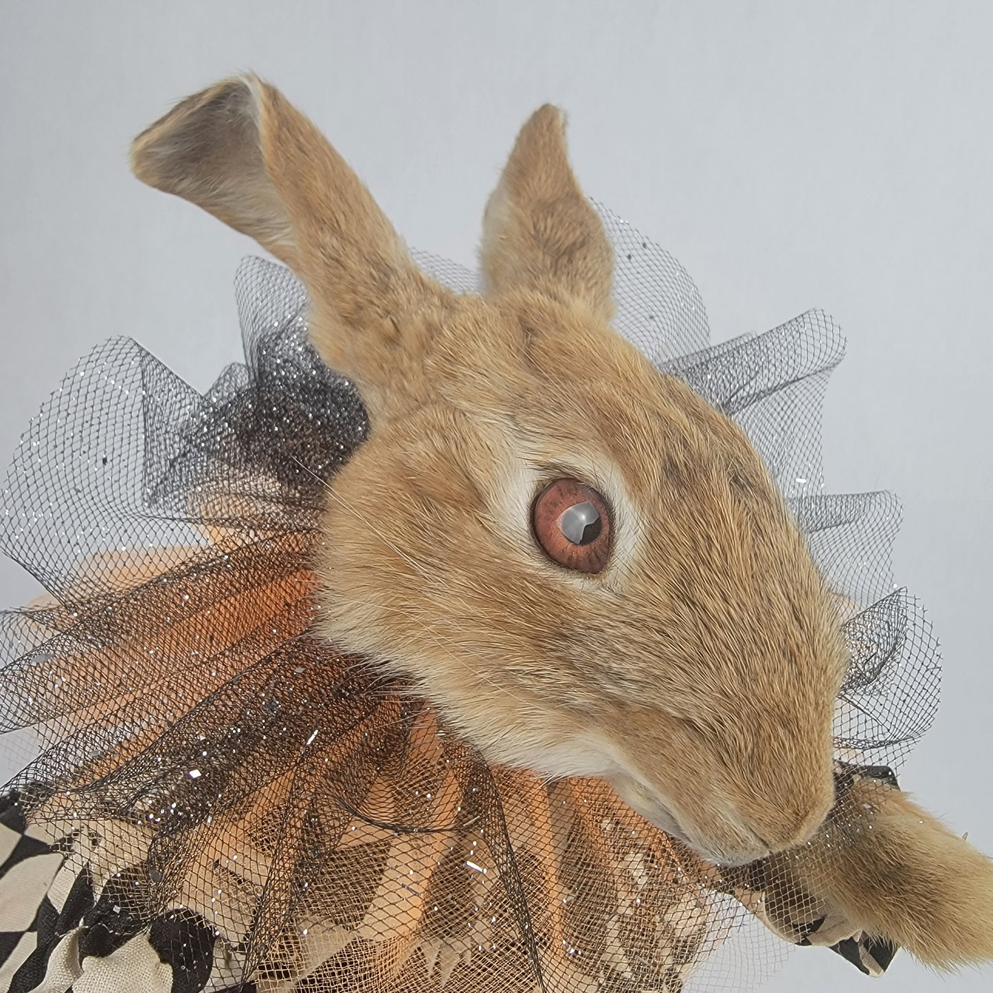 Trixie Treet
