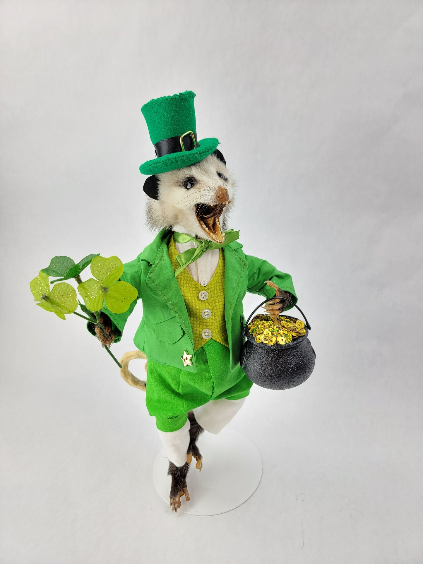 Paddy O'Possum