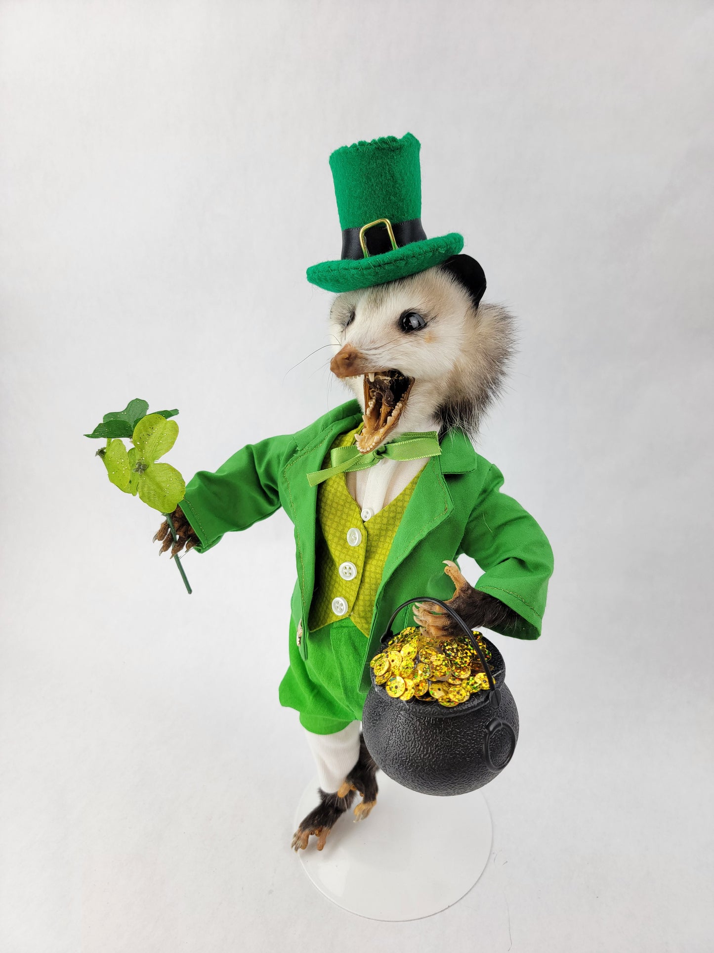 Paddy O'Possum