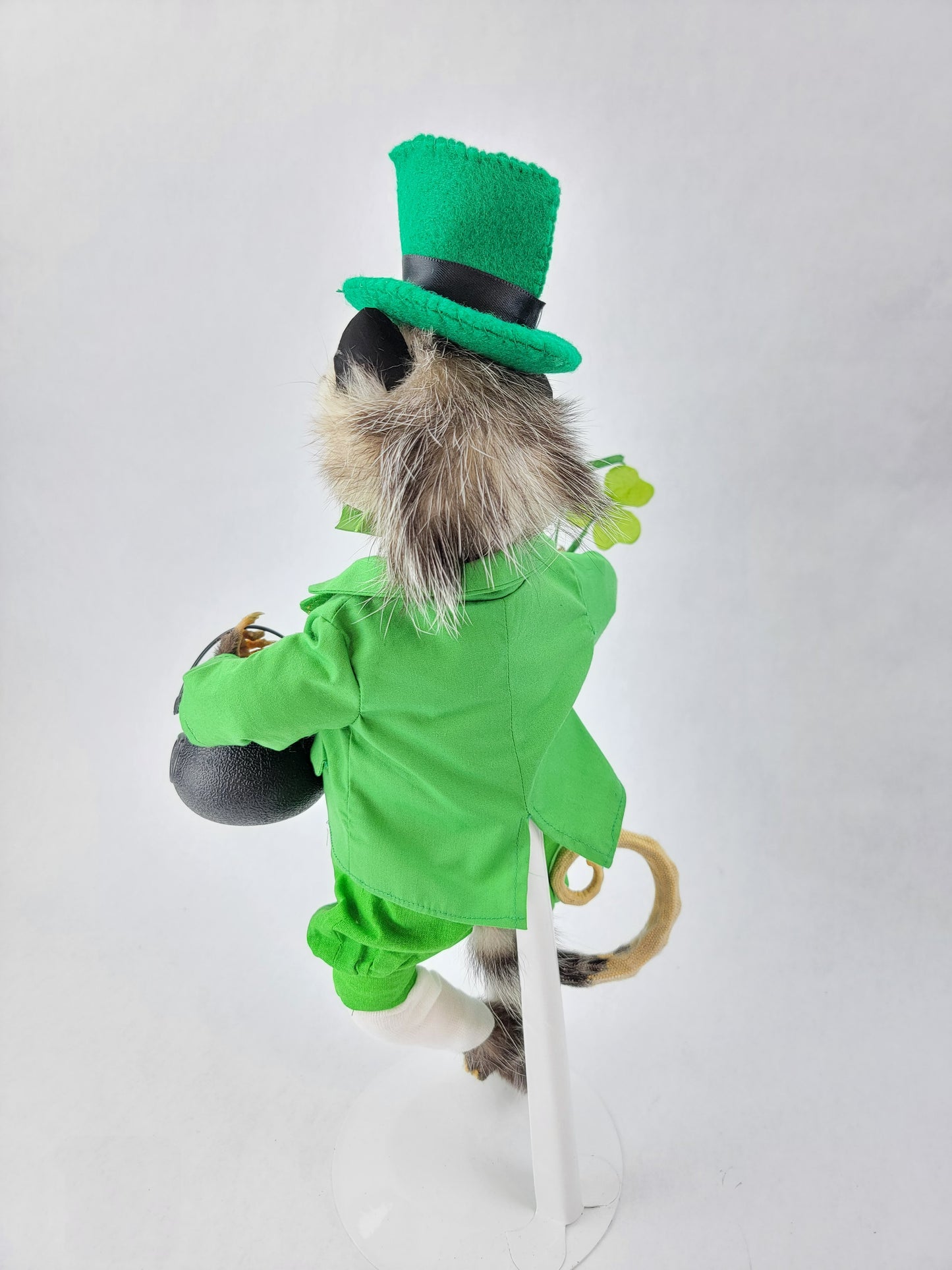 Paddy O'Possum