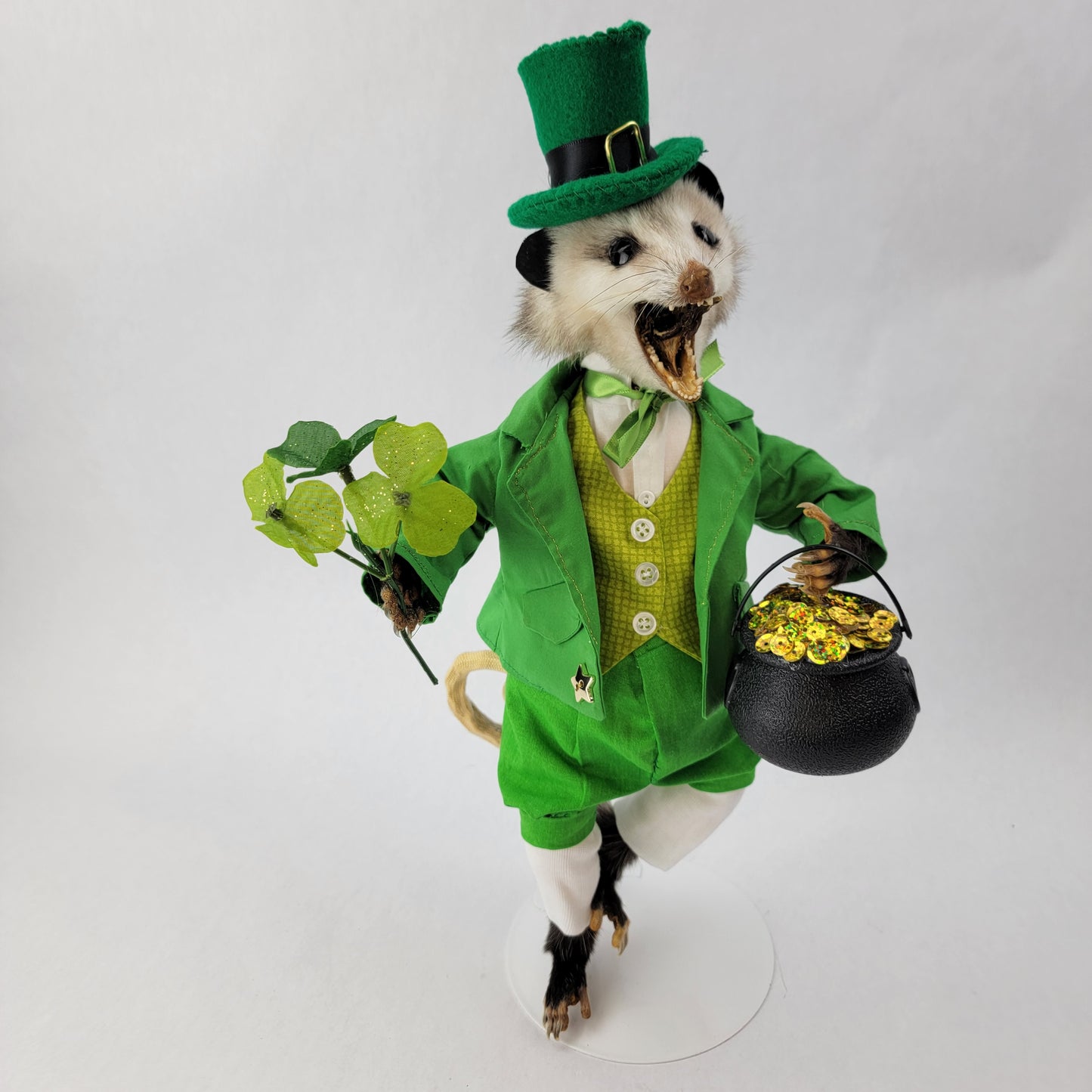 Paddy O'Possum