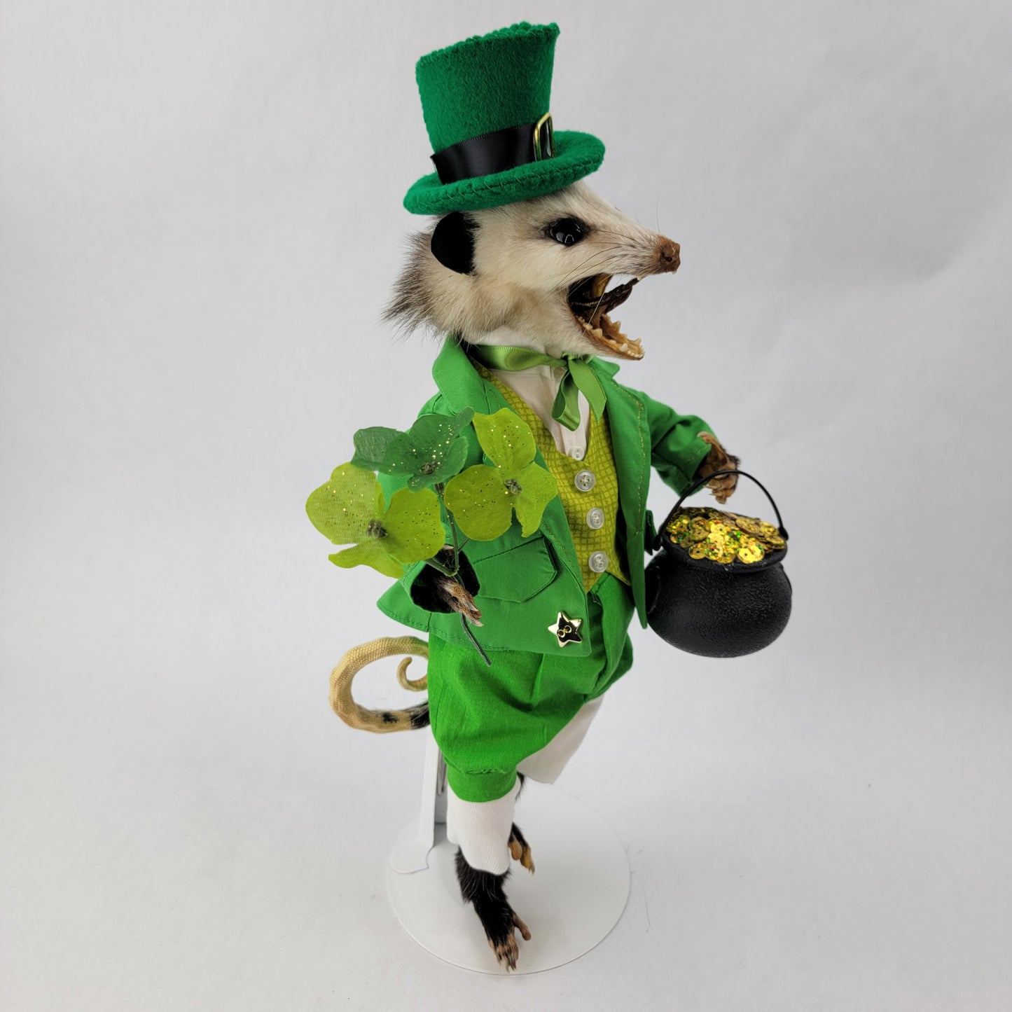 Paddy O'Possum
