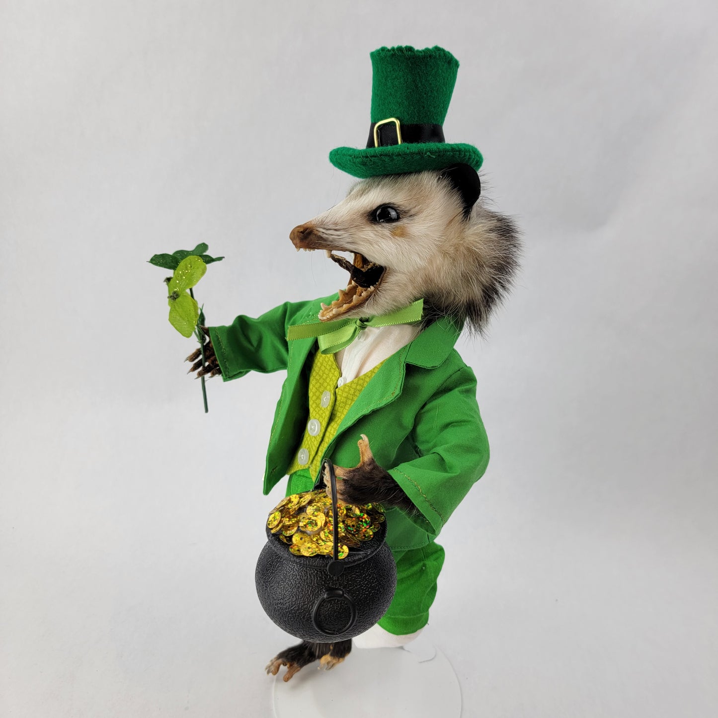 Paddy O'Possum