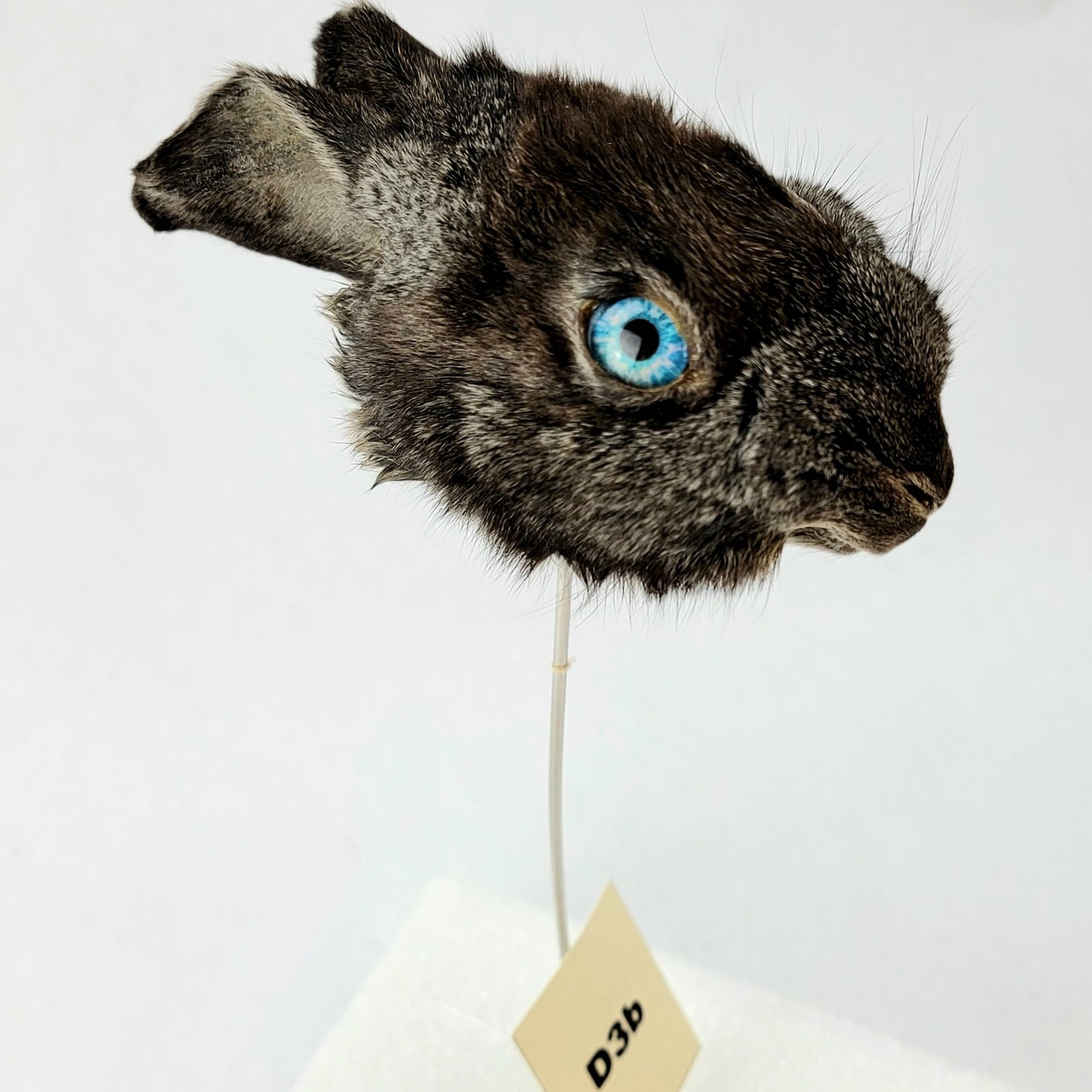 D3b Custom Anthropomorphic Rabbit Doll Deposit