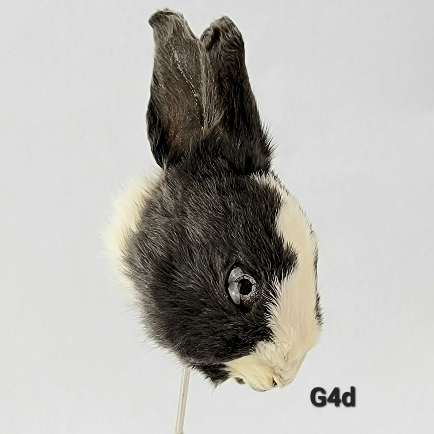 G4d Custom Anthropomorphic Rabbit Doll Deposit