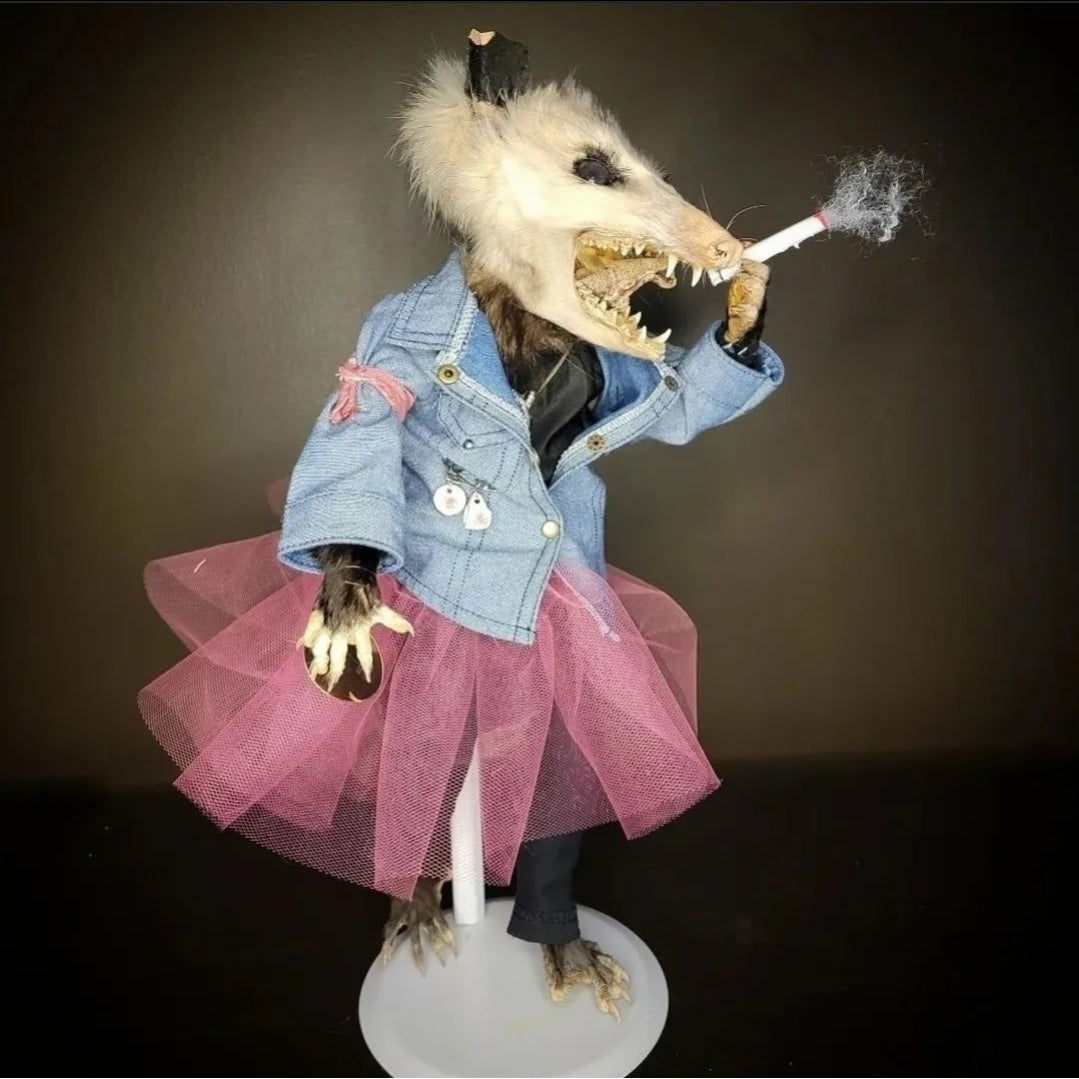 Punk 'Possum
