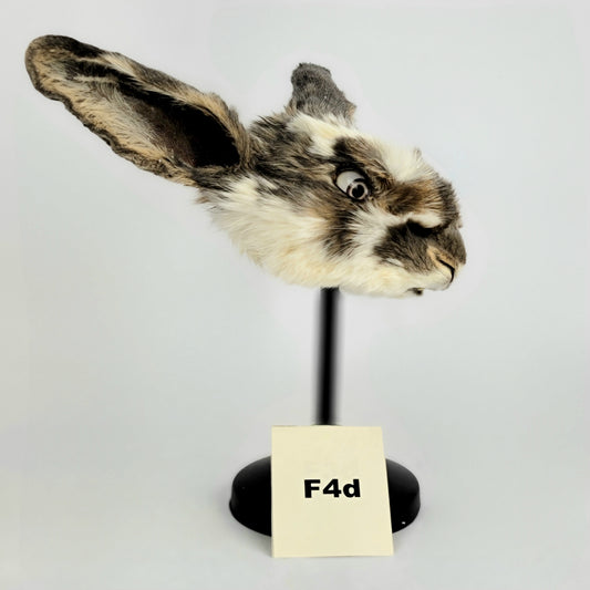 F4d Custom Anthropomorphic Rabbit Doll Deposit