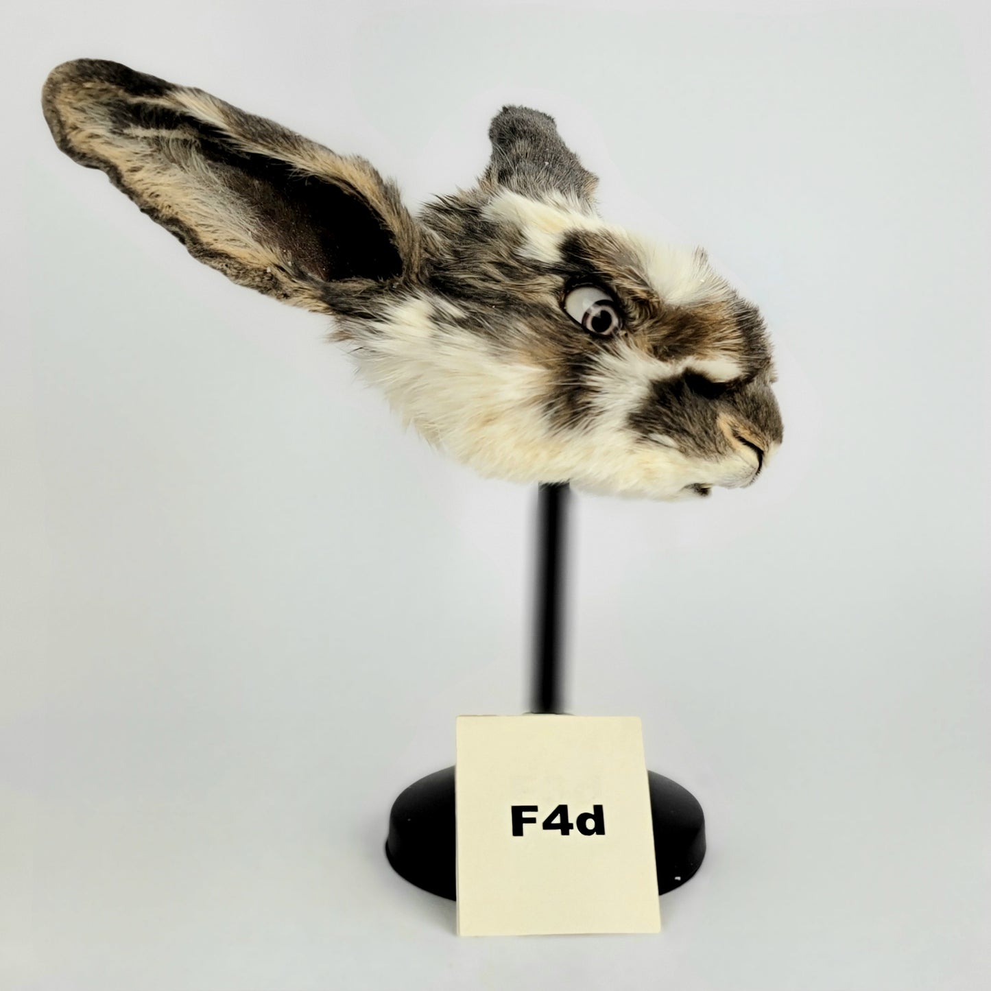 F4d Custom Anthropomorphic Rabbit Doll Deposit