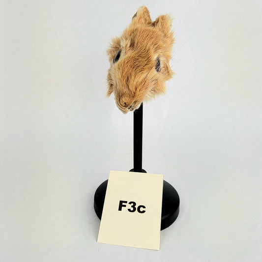 F3c Custom Anthropomorphic Rabbit Doll Deposit