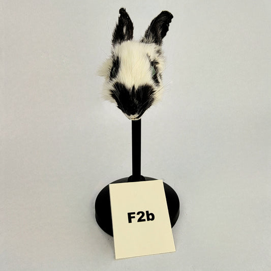 F2b Custom Anthropomorphic Rabbit Doll Deposit