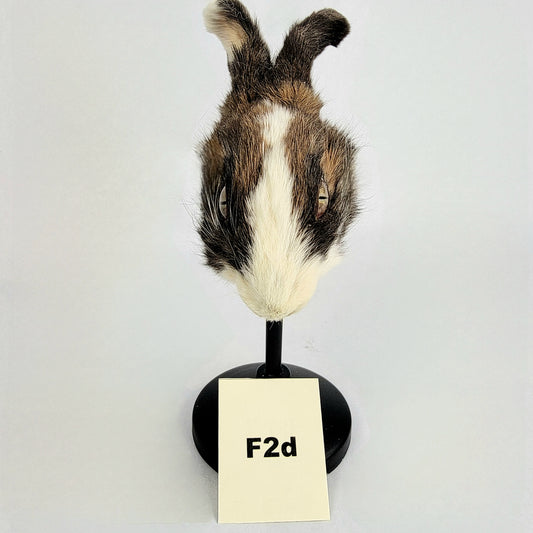 F2a Custom Anthropomorphic Rabbit Doll Deposit