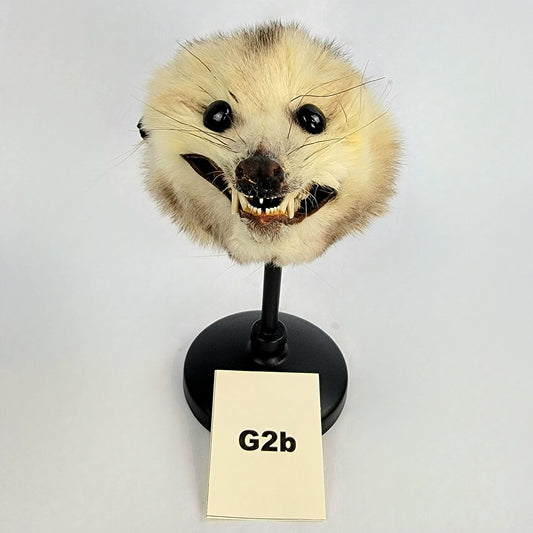 G2b Custom Anthropomorphic Opossum Doll Deposit