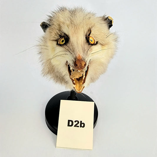 D2b Custom Anthropomorphic Opossum Doll Deposit