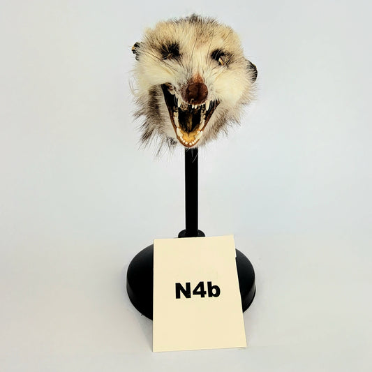 N4b Custom Anthropomorphic Opossum Doll Deposit