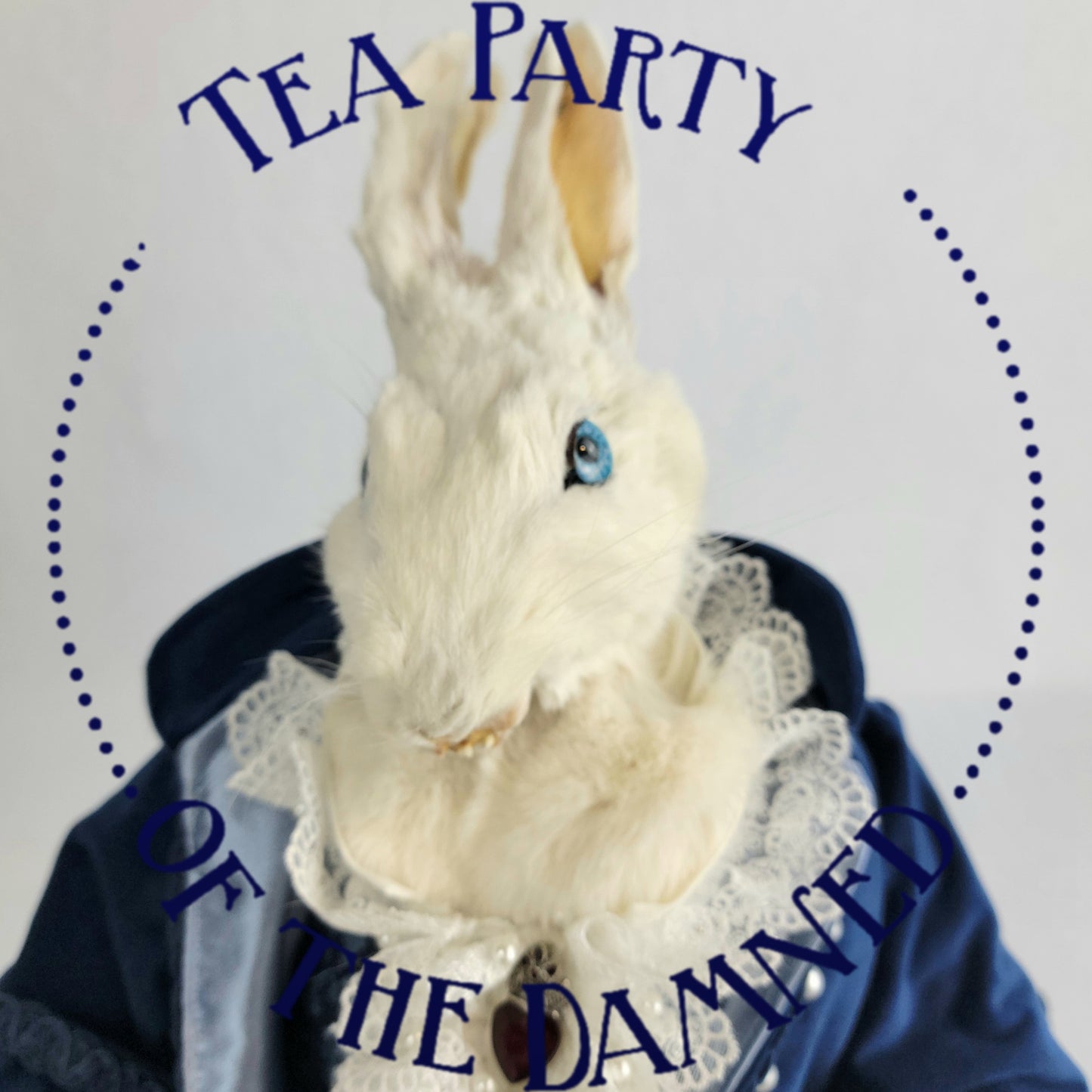 White Rabbit