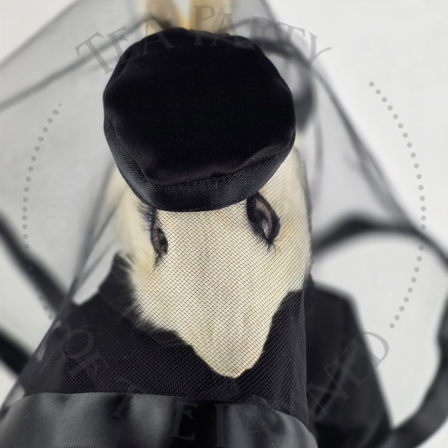 Jacqueline Rabbit
