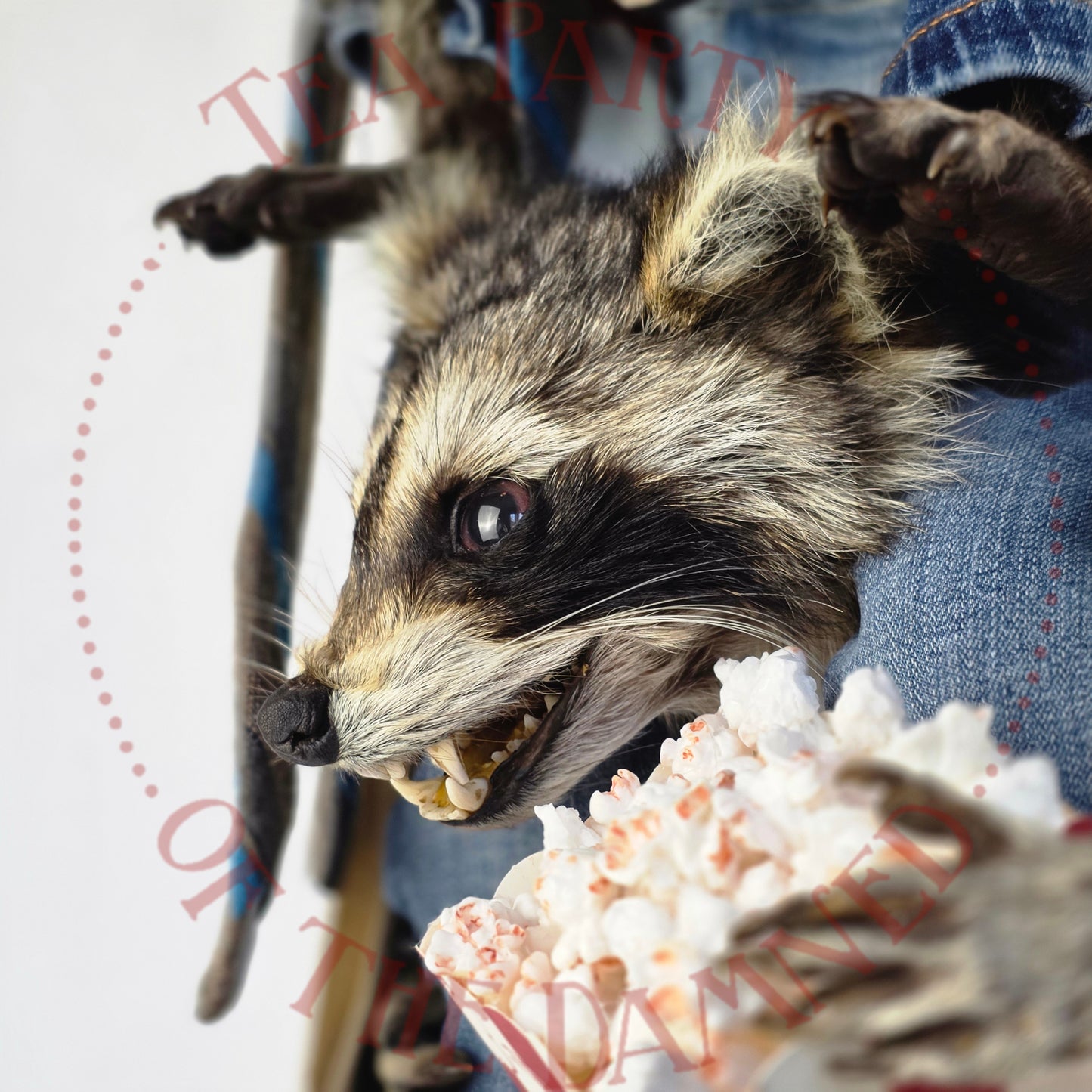 Absolutely One Human Man