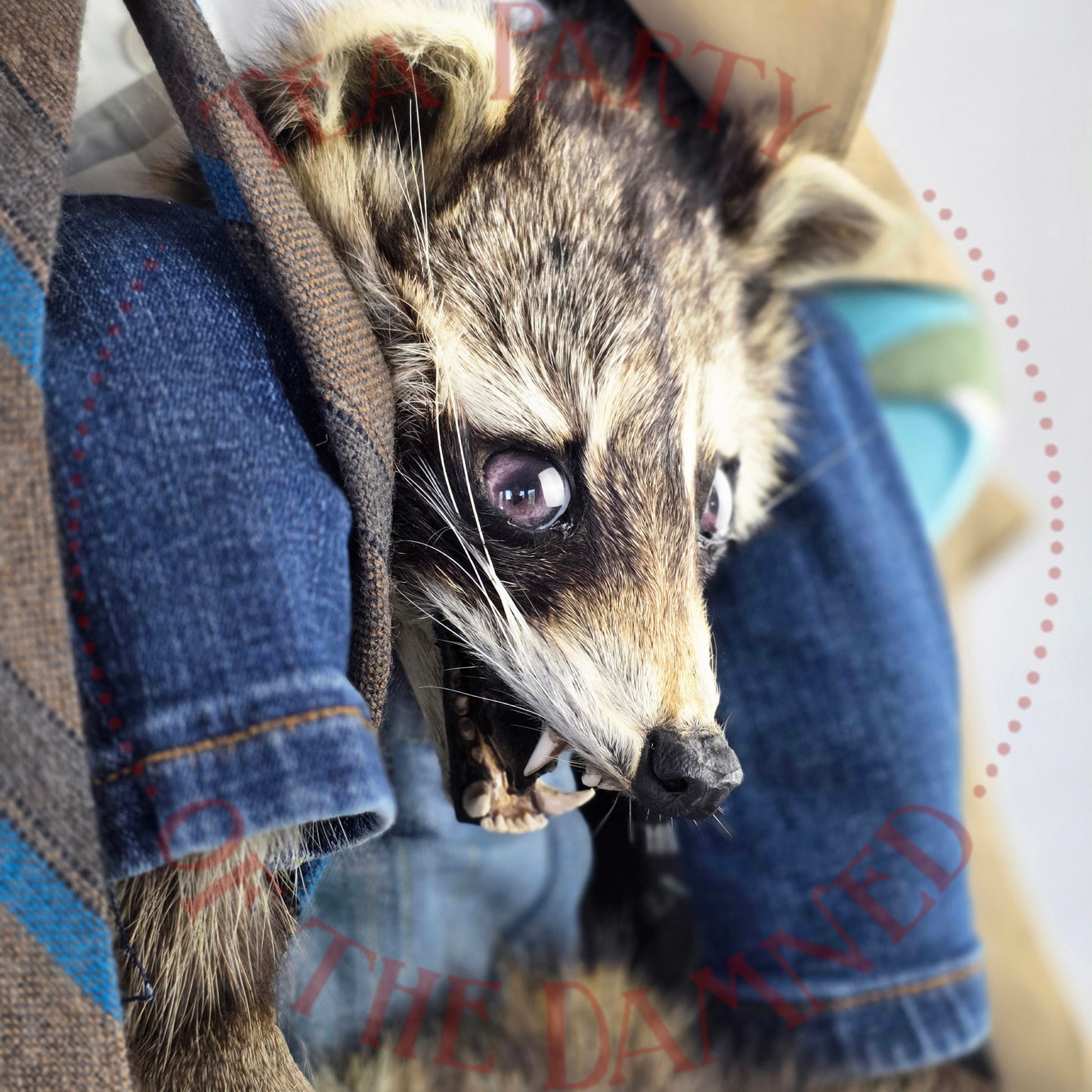 Absolutely One Human Man