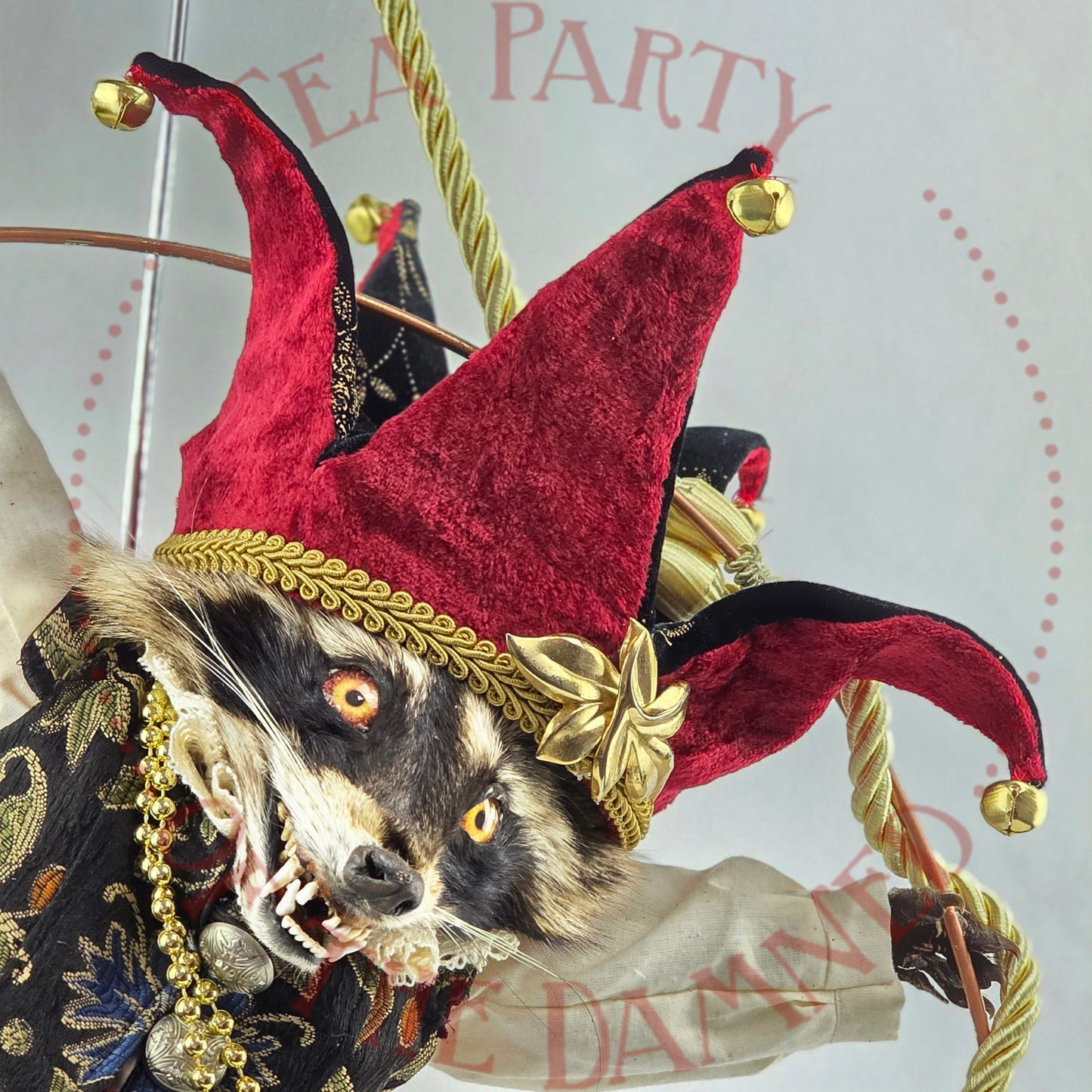 Upoon A Raccoon In Pantaloons