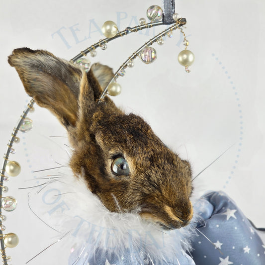 Rabbit Moon