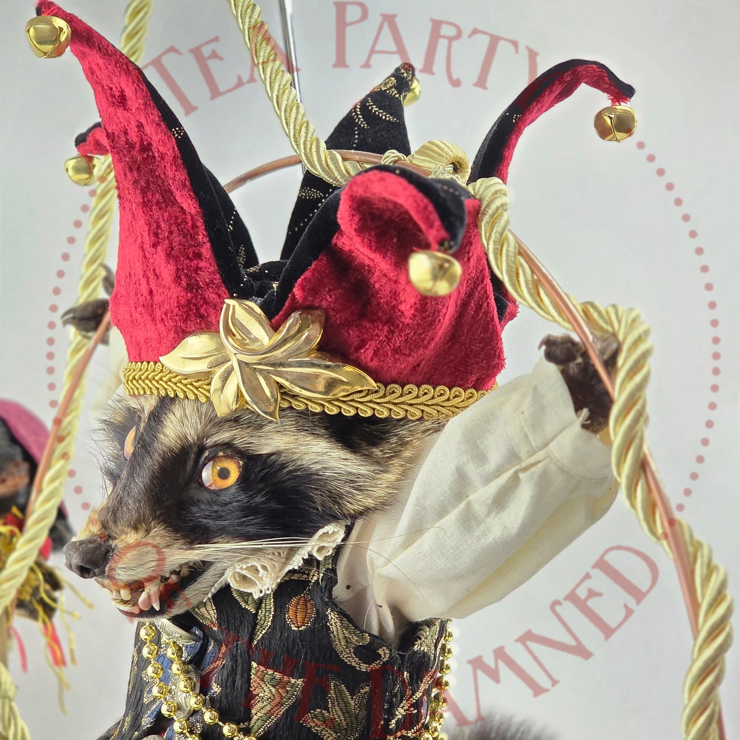 Upoon A Raccoon In Pantaloons