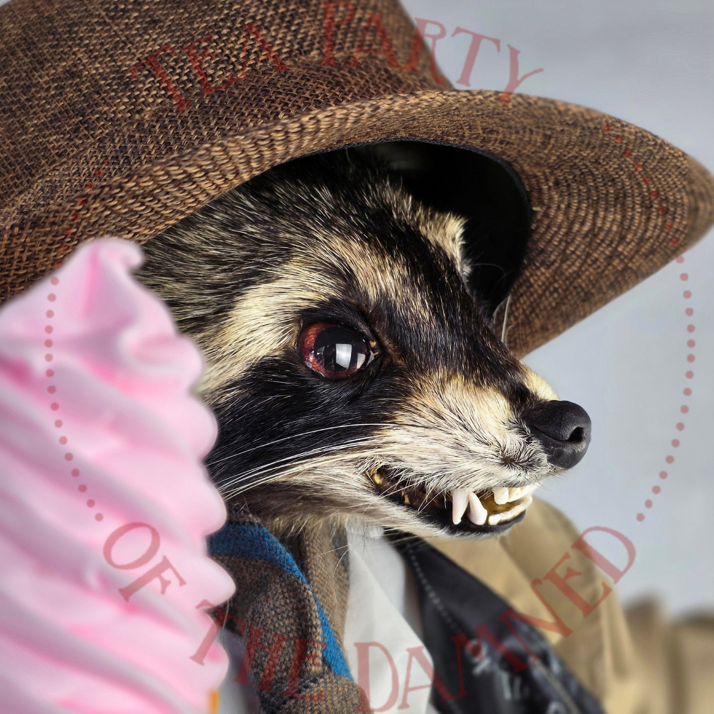 Absolutely One Human Man