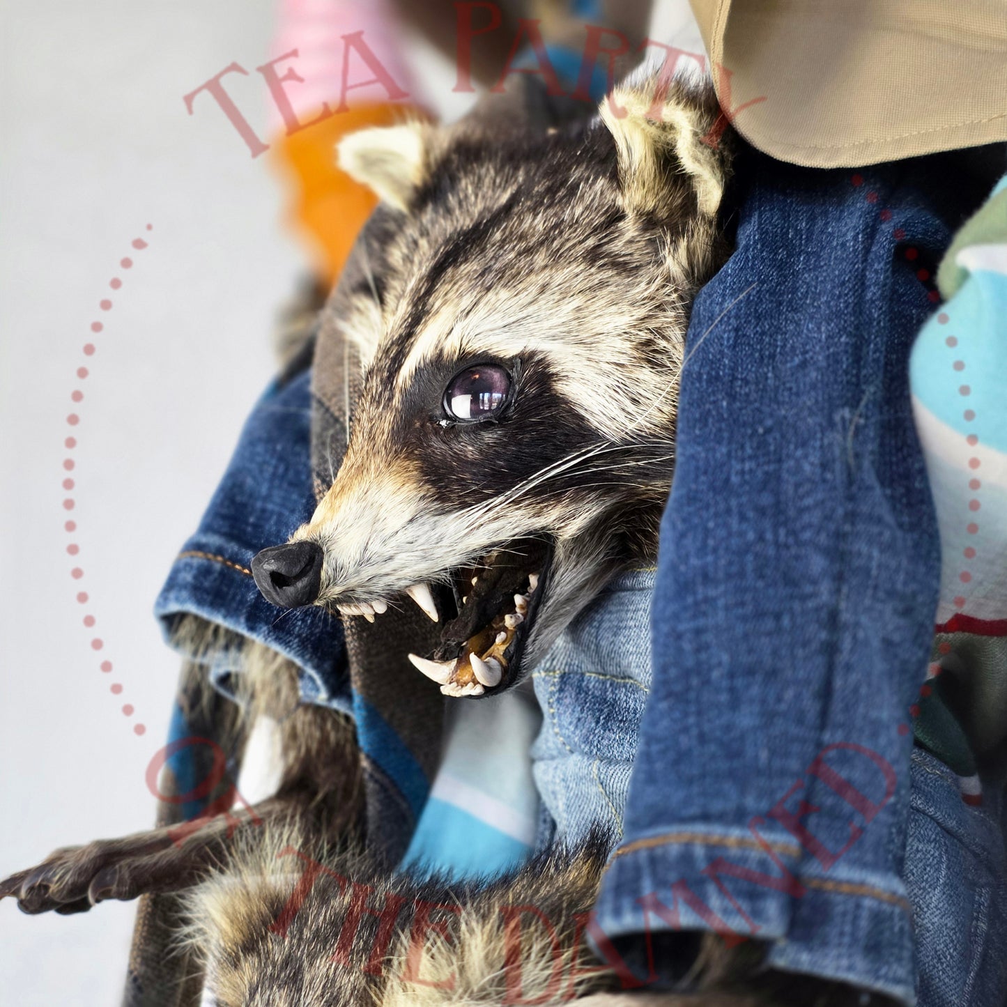 Absolutely One Human Man