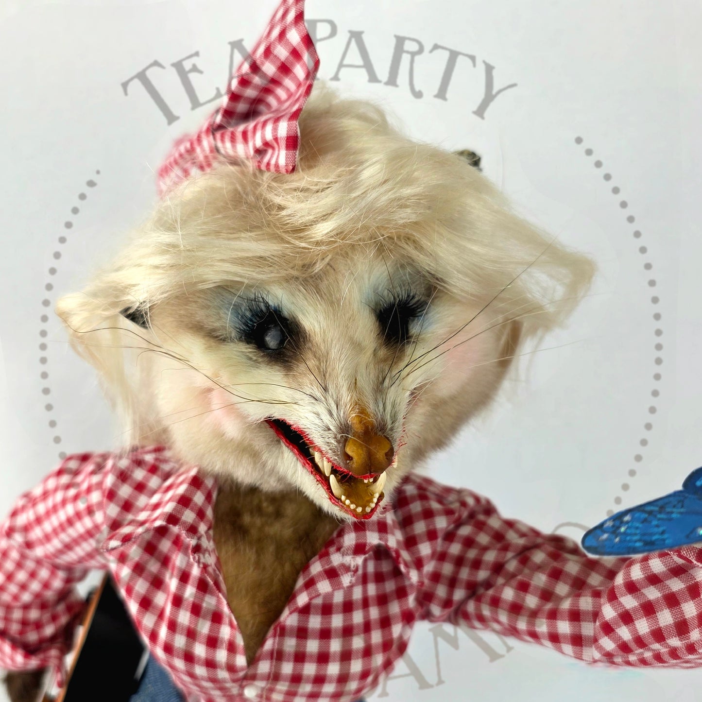 Dolly Possum