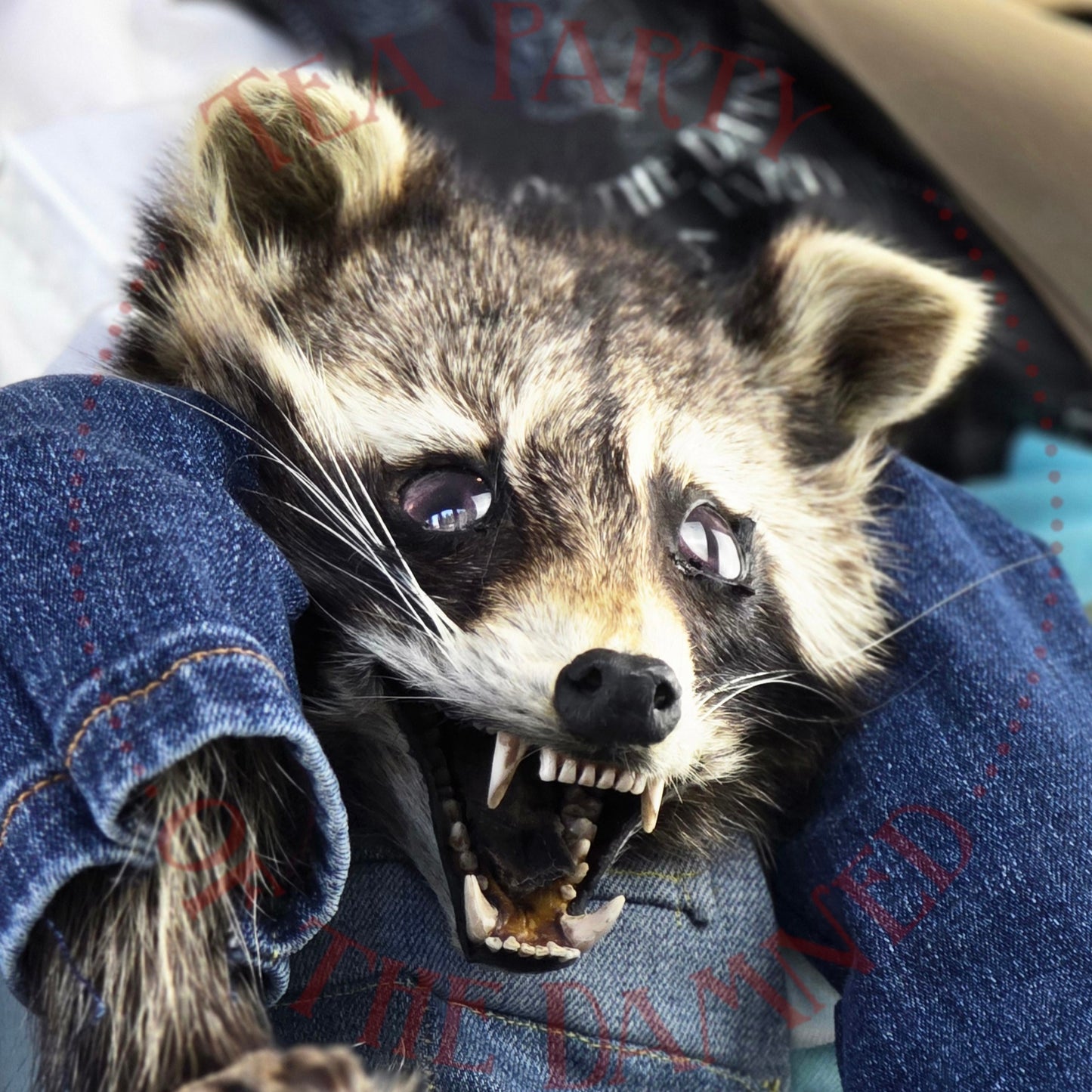 Absolutely One Human Man