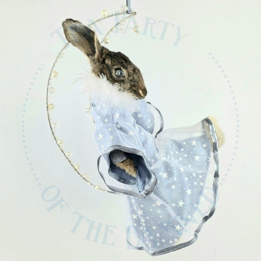 Rabbit Moon