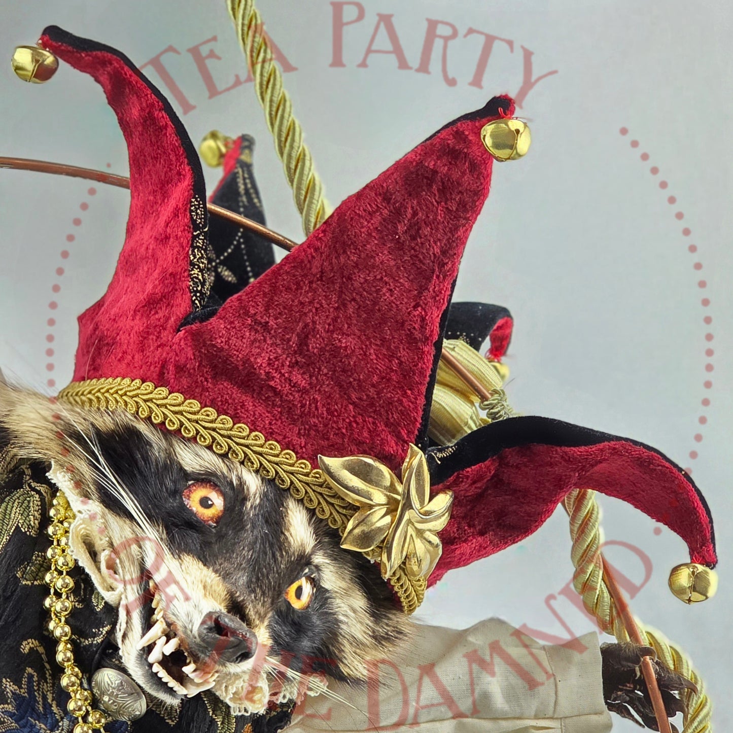 Upoon A Raccoon In Pantaloons