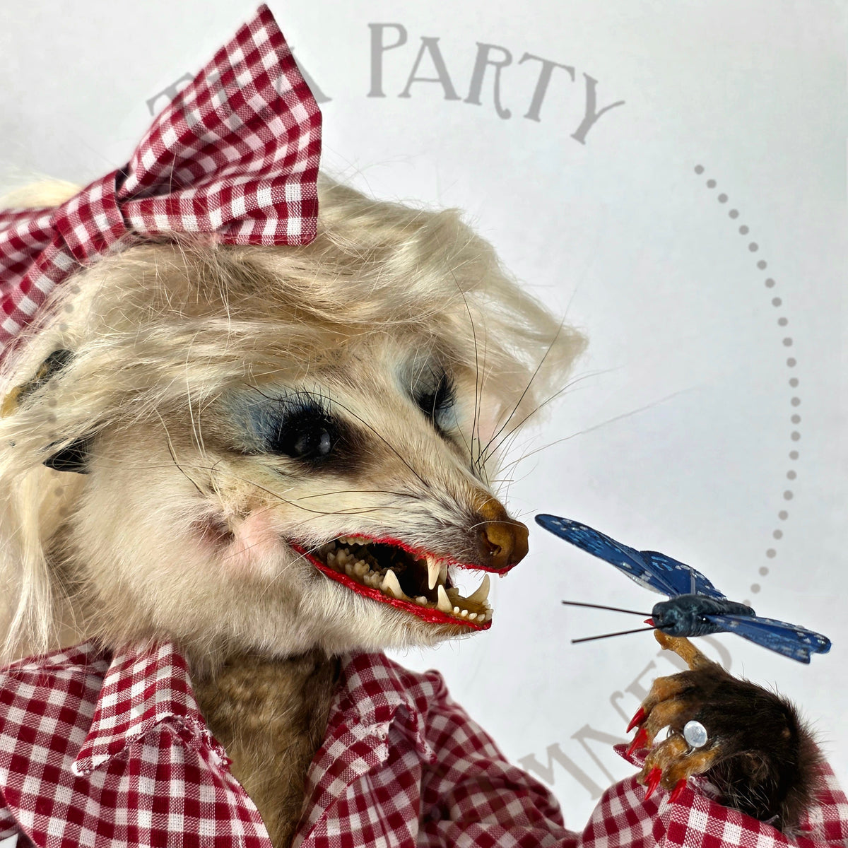 Dolly Possum