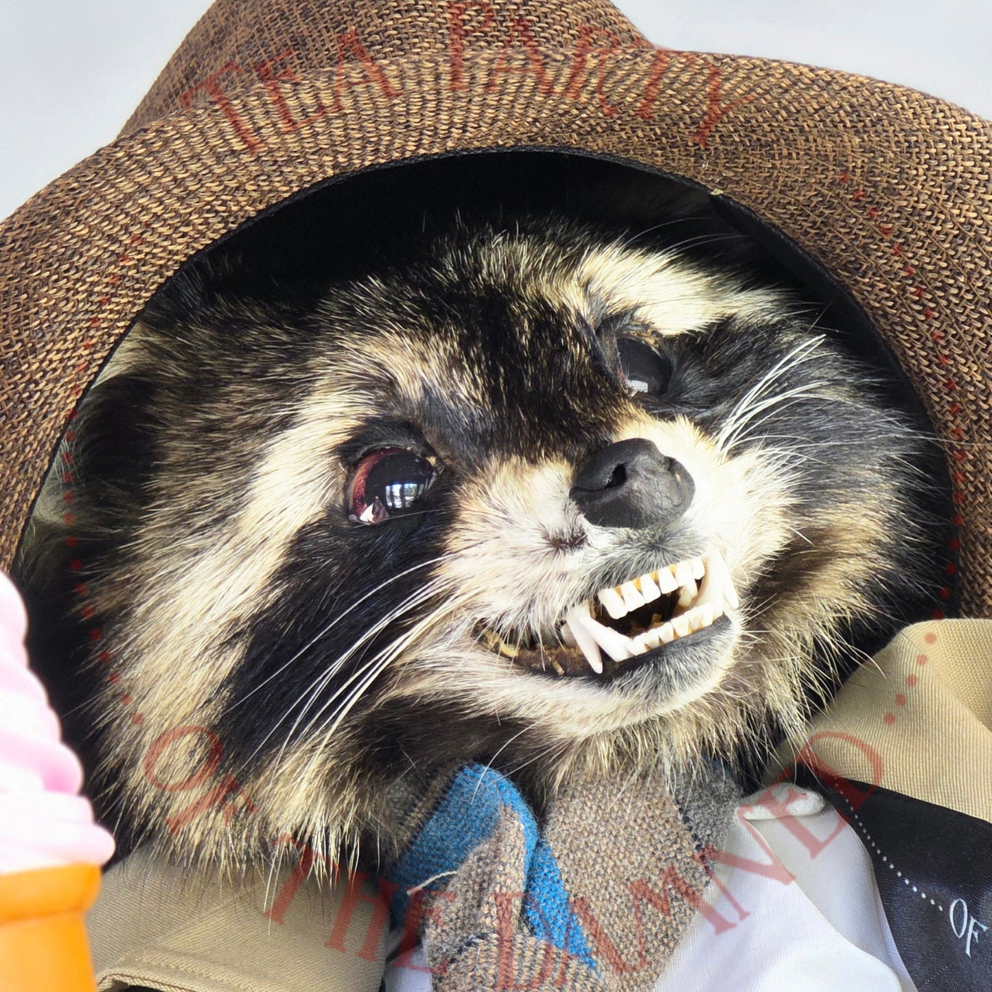 Absolutely One Human Man