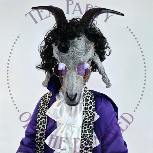 Prince