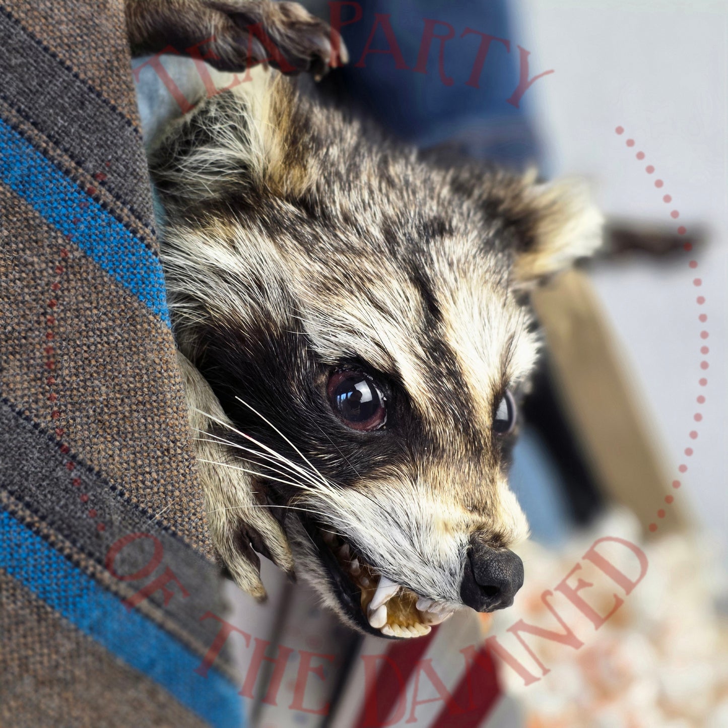 Absolutely One Human Man