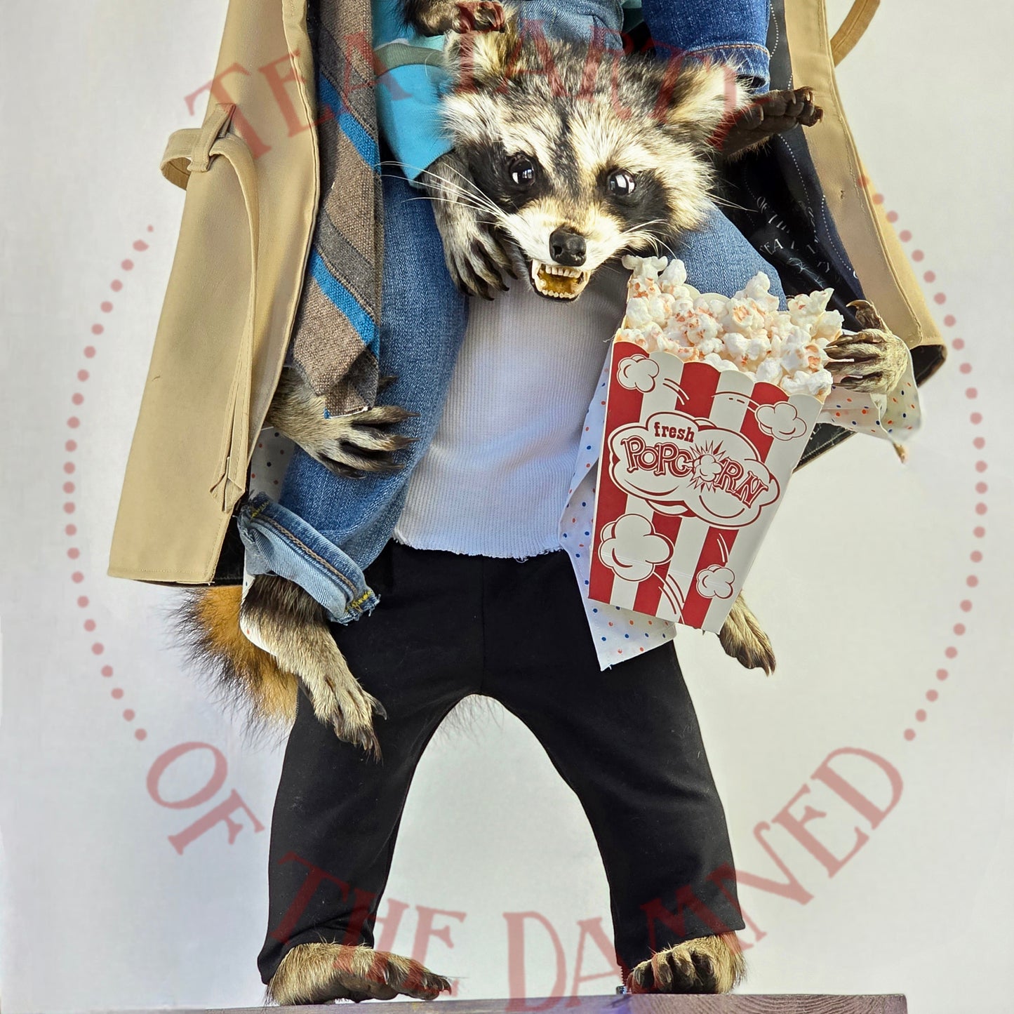 Absolutely One Human Man