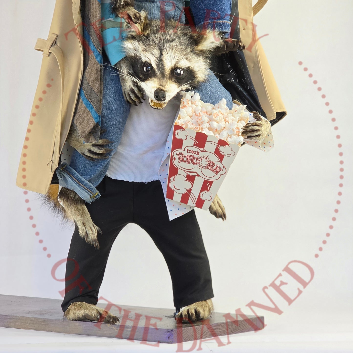 Absolutely One Human Man