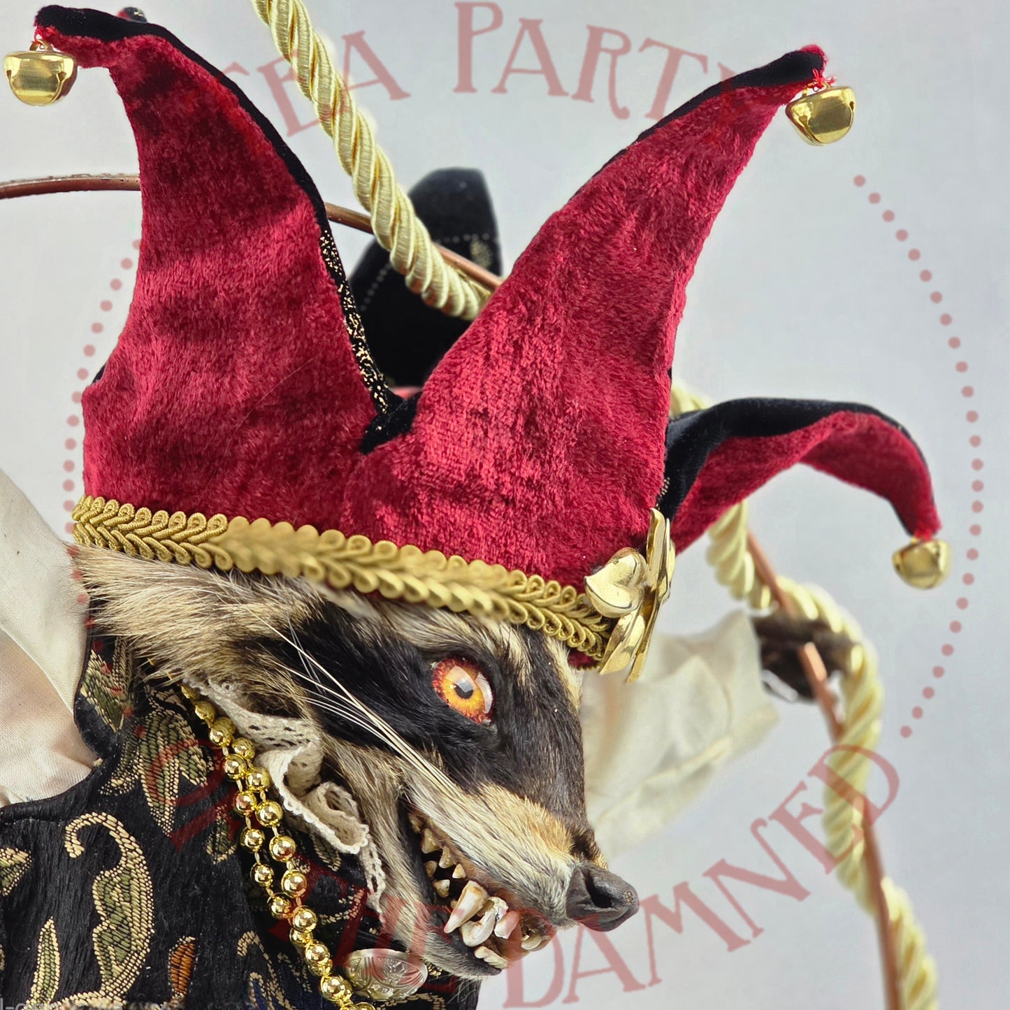 Upoon A Raccoon In Pantaloons