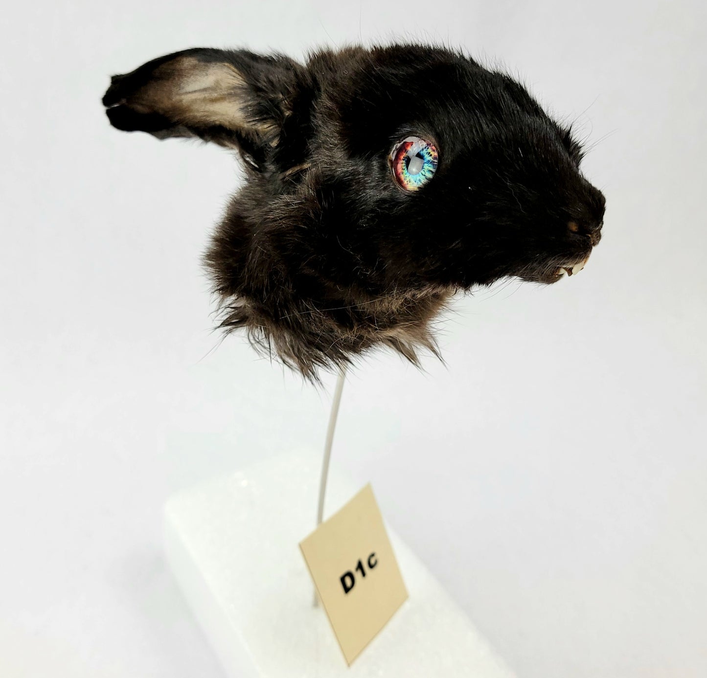 D1c Custom Anthropomorphic Rabbit Doll Deposit