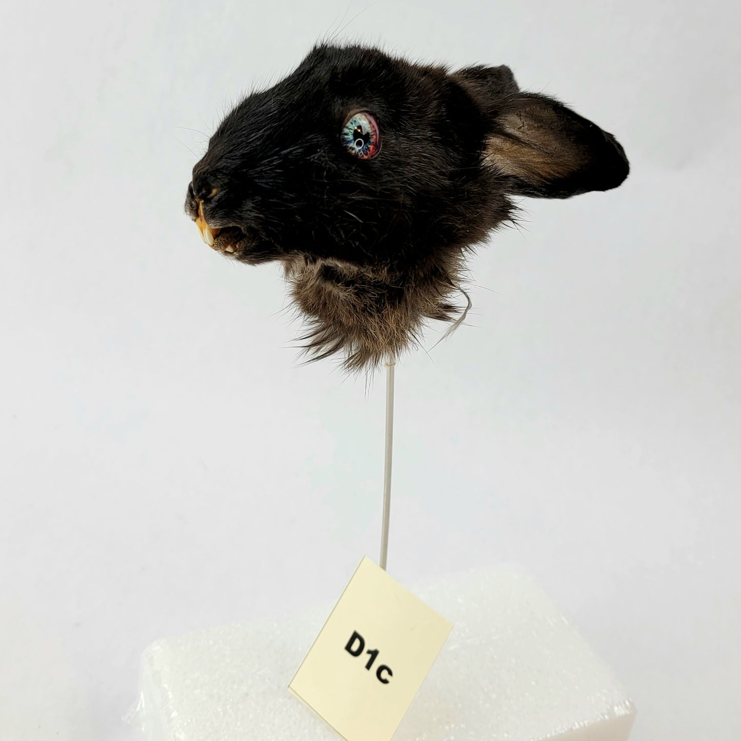 D1c Custom Anthropomorphic Rabbit Doll Deposit