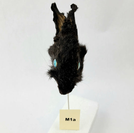 M1a Custom Anthropomorphic Rabbit Doll Deposit
