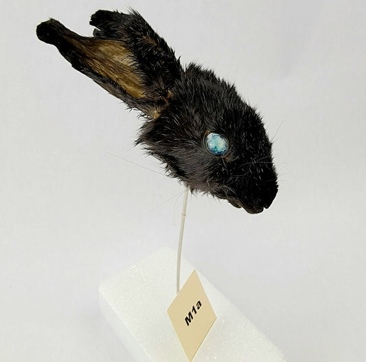 M1a Custom Anthropomorphic Rabbit Doll Deposit